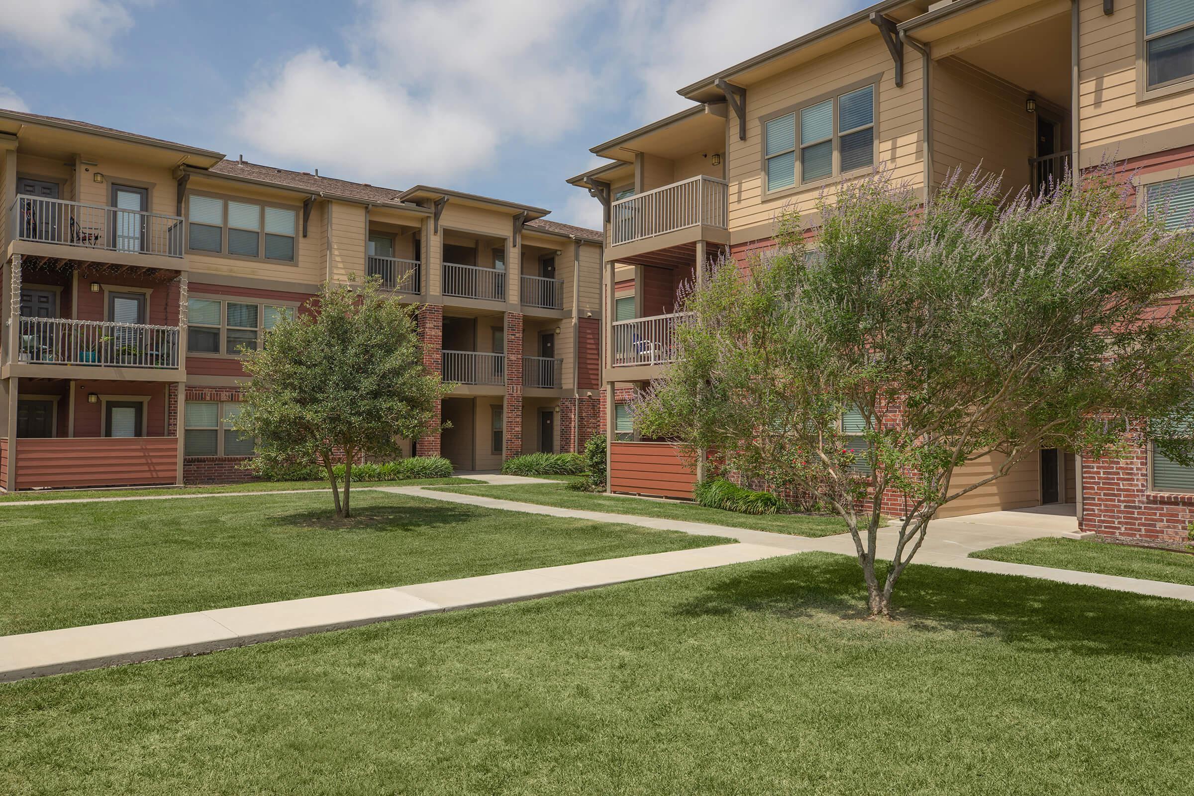 Icon at Corpus Christi Image 7