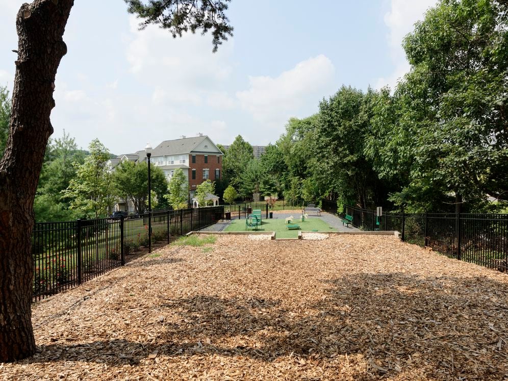 WAG Pet Park with exercise equipment and relief space
