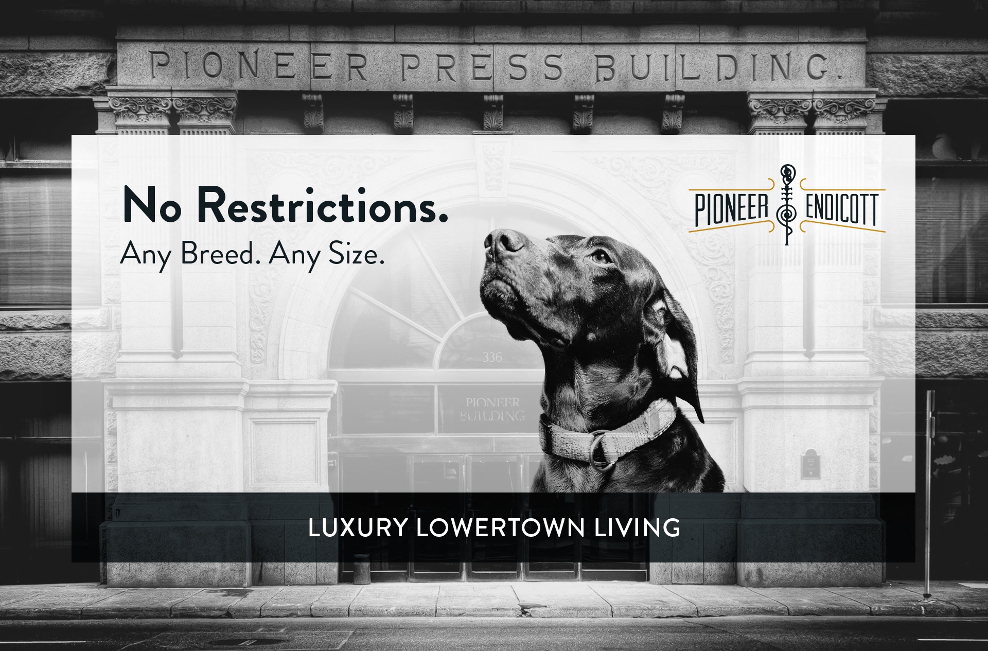 Pet Friendly - NO RESTRICTIONS!