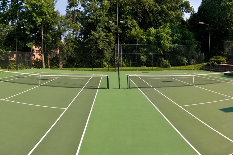 Paladin Club Image 4