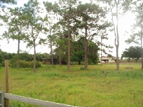 Lake Worth Ranch Image 3