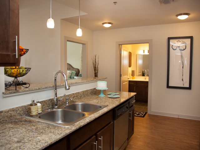 Abundant Granite Countertop Space