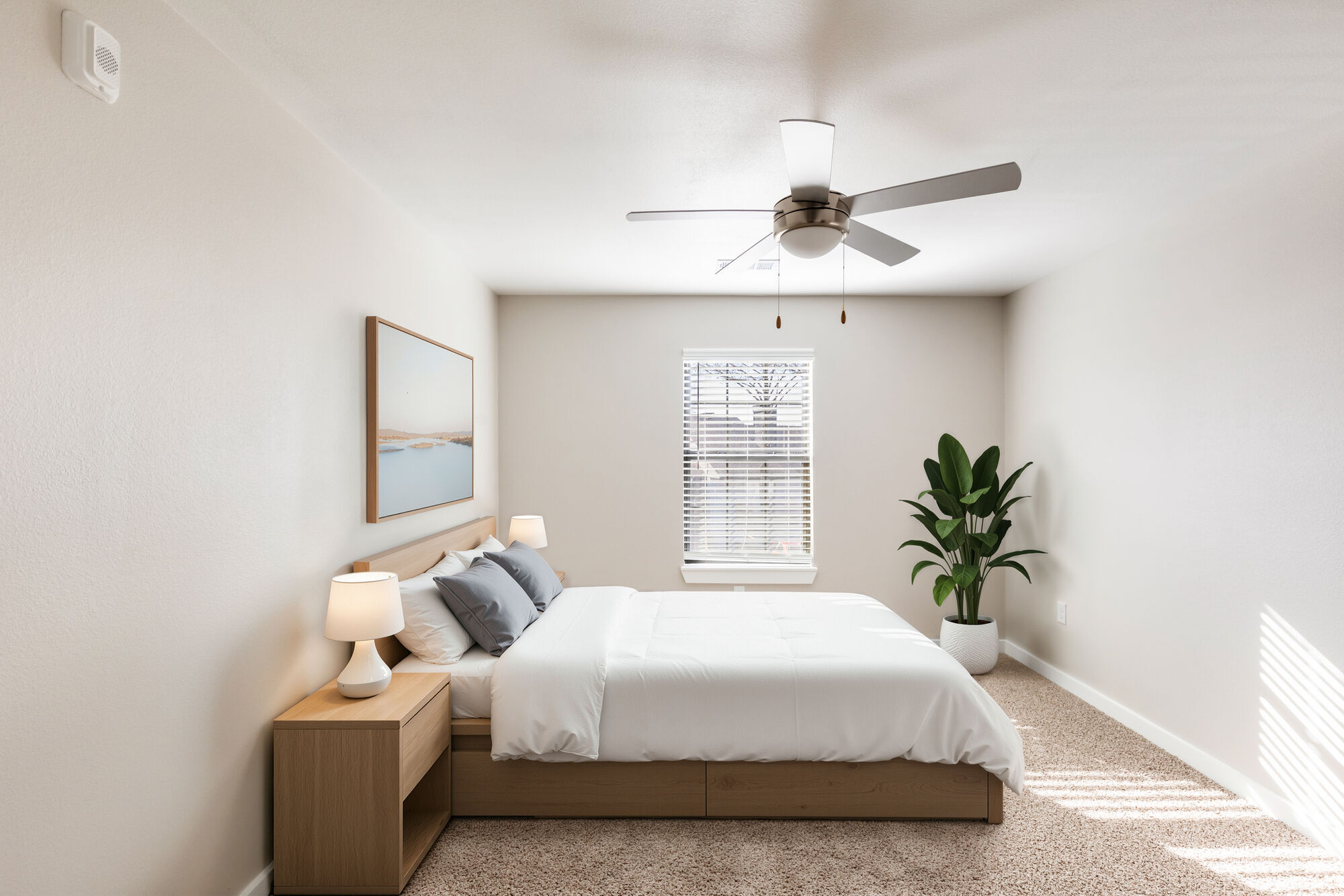 Lockhart Apartment Homes Image 3