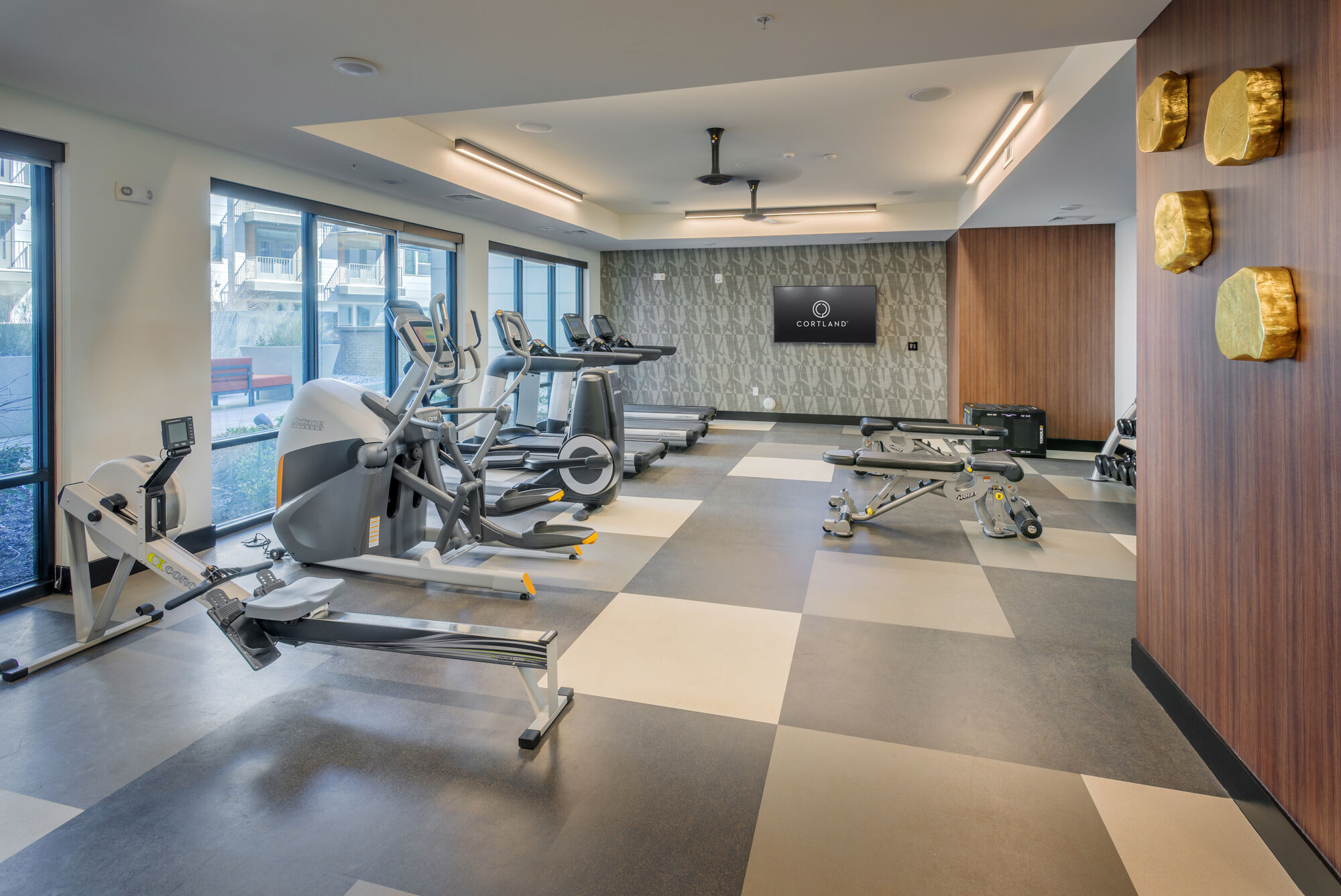 Cortland NoDa Image 14