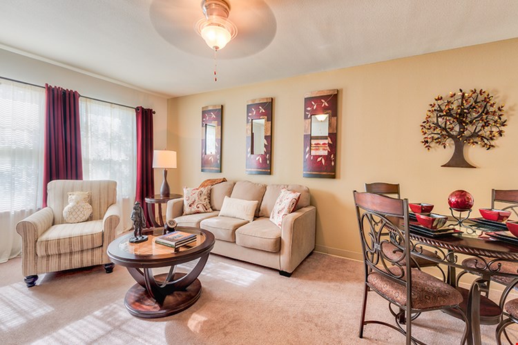 The Belcaro  Image 6