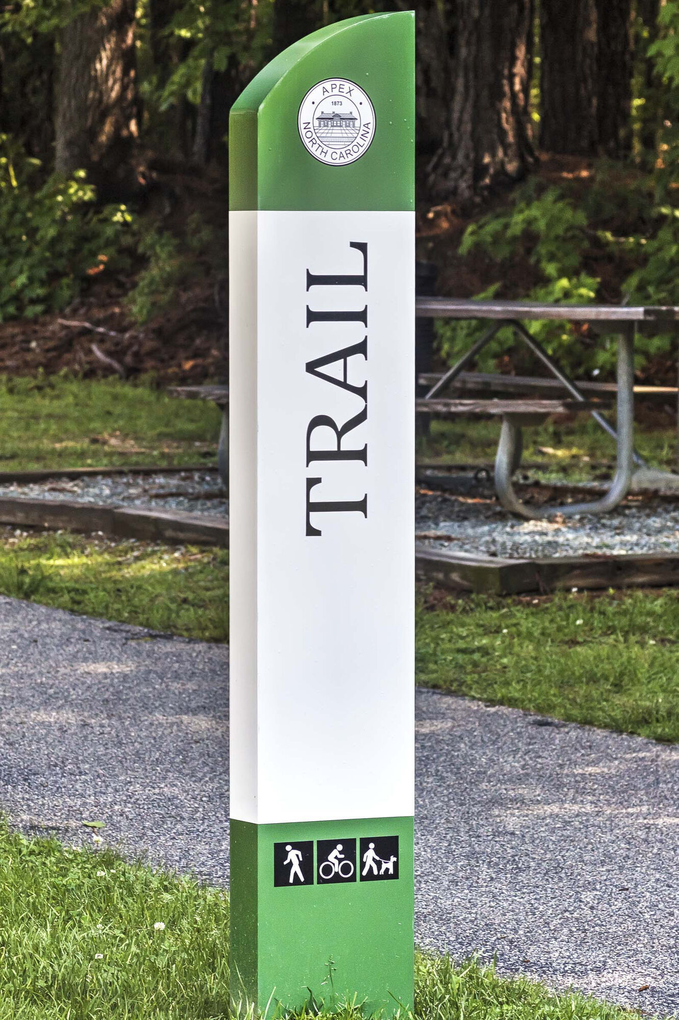 Camden Lake Pine Image 48