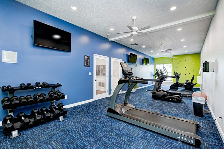 Autumn Chase Image 21