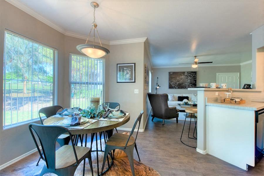 Open Concept Kitchen, Living Room and Dining Room