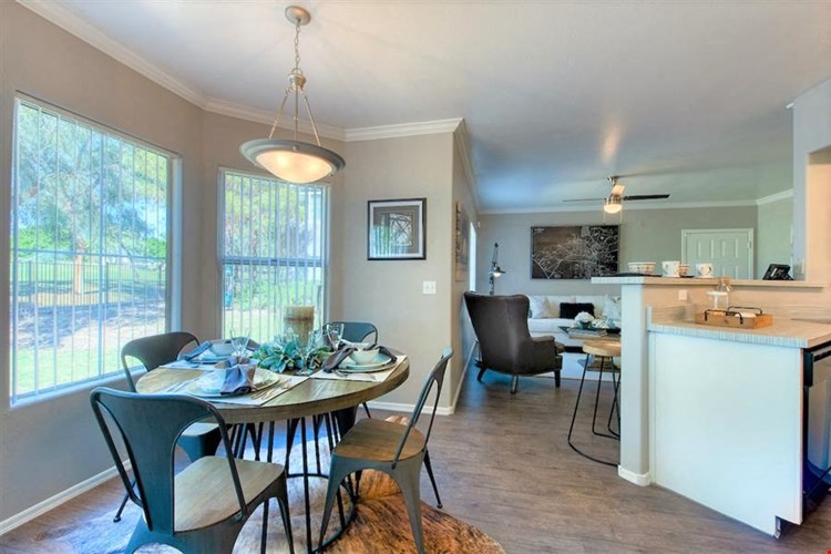 Open Concept Kitchen, Living Room and Dining Room