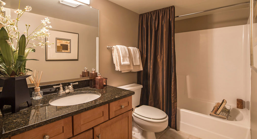 Bathroom (Renovated)