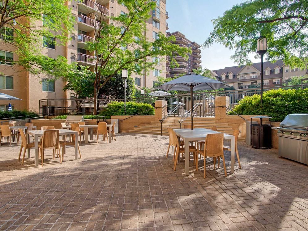 Courtyard and Barbecue Area