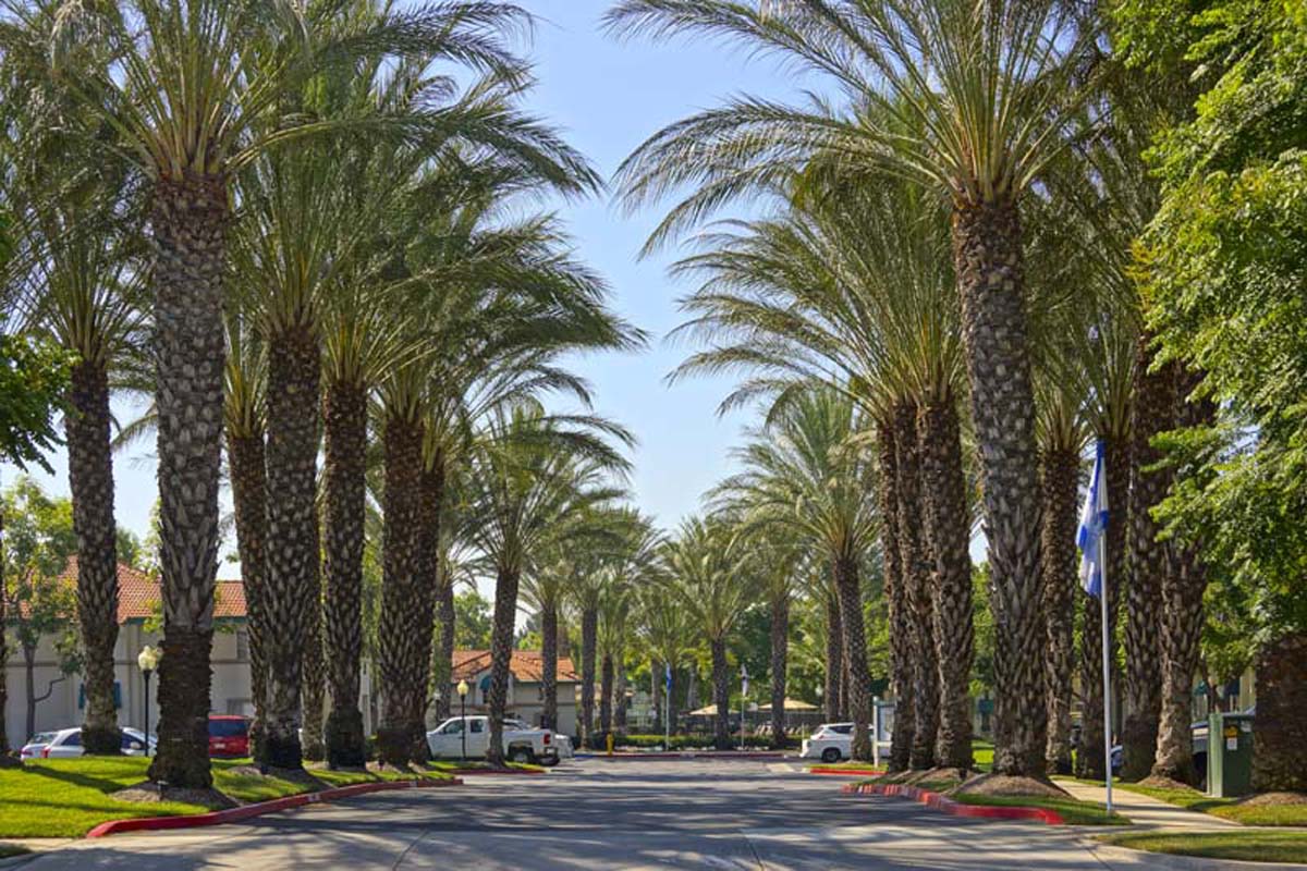 Montecito Apartments Image 9