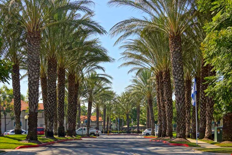 Montecito Apartments Image 31