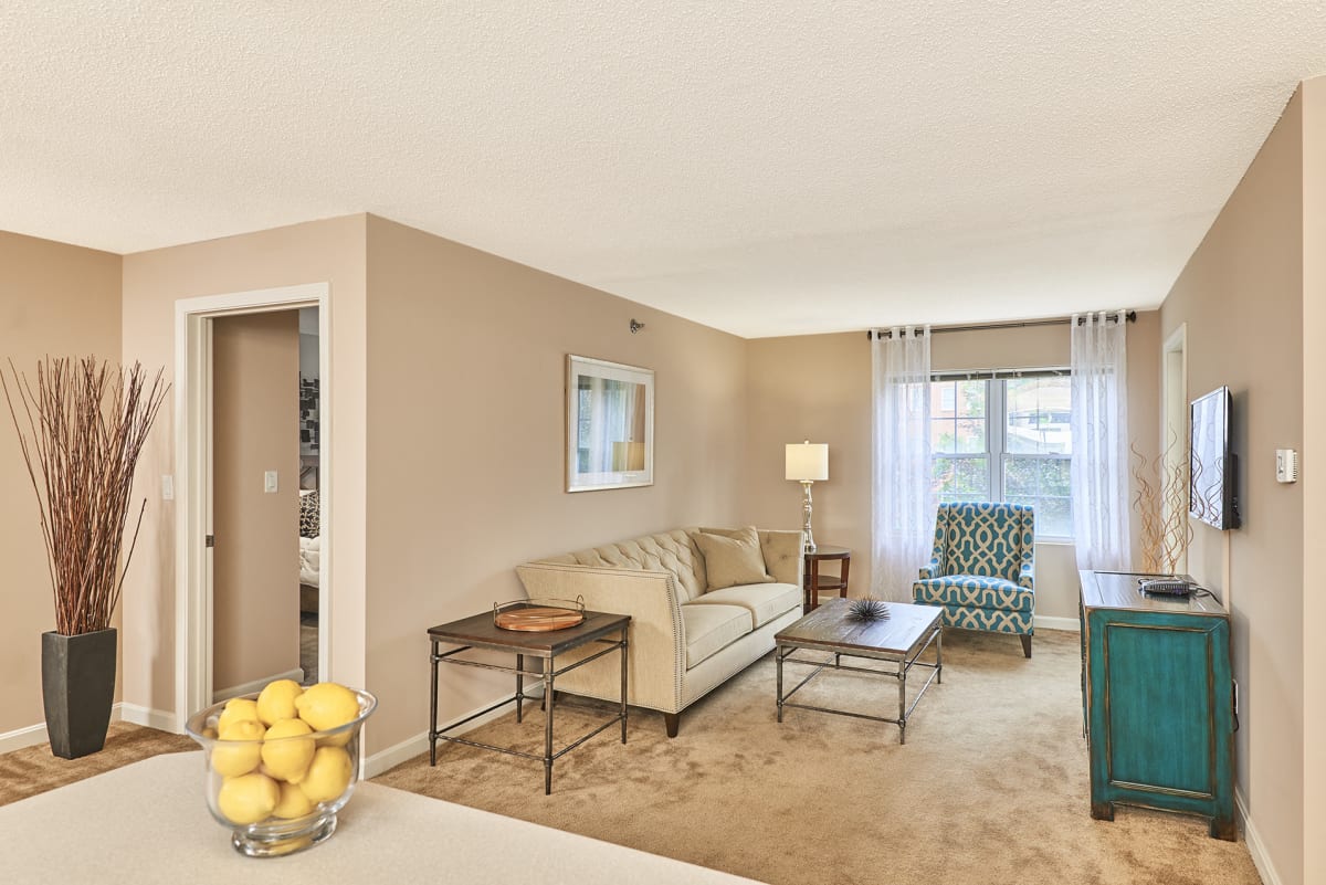 Hampshire Green Image 10