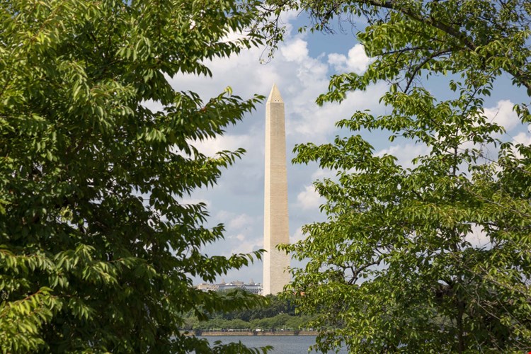 Camden South Capitol Image 34