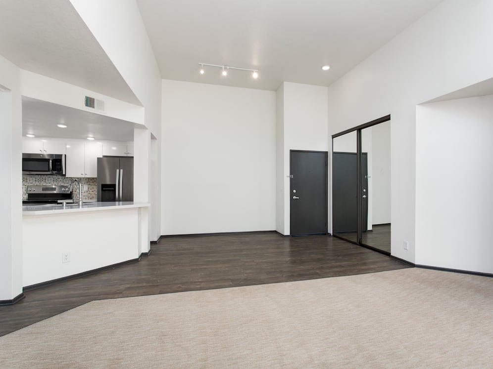 Premium Apartment Kitchen Living and Dining Area