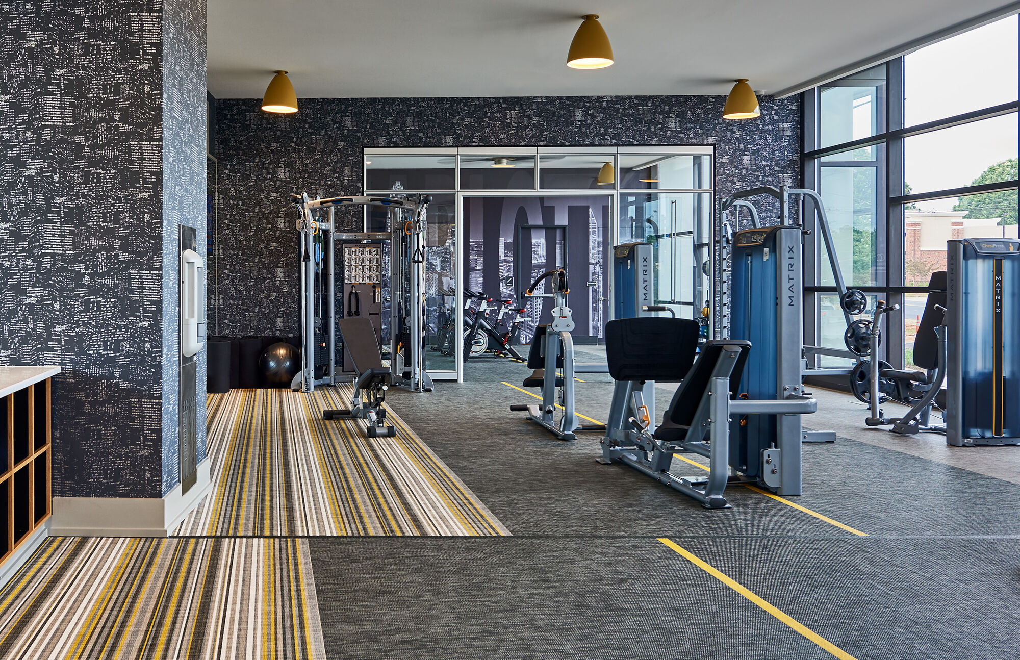 Selene at Southline Apartments Image 13