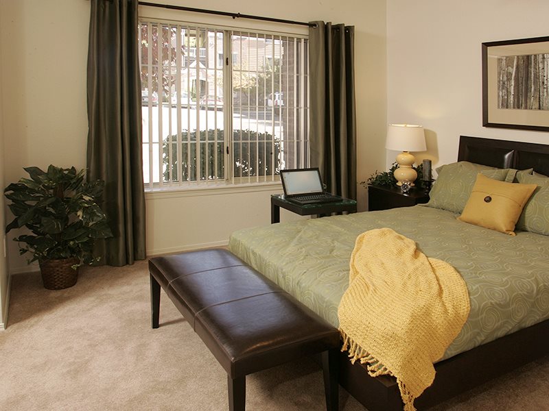 Pinnacle Highland Image 11