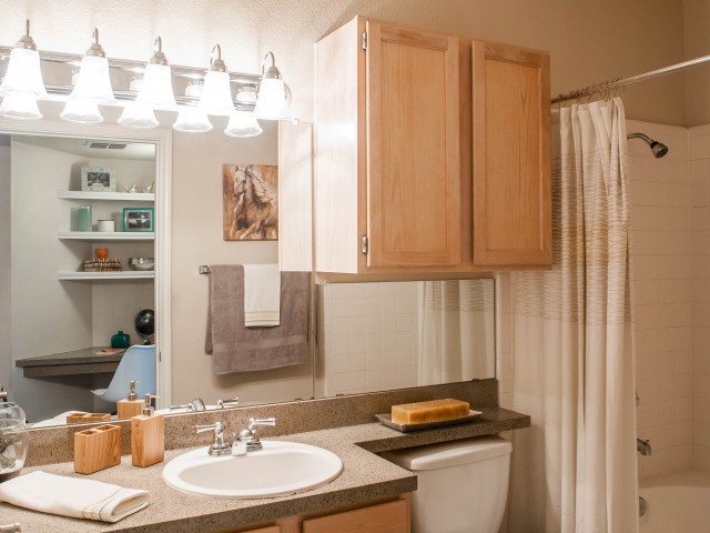Escalante Image 7