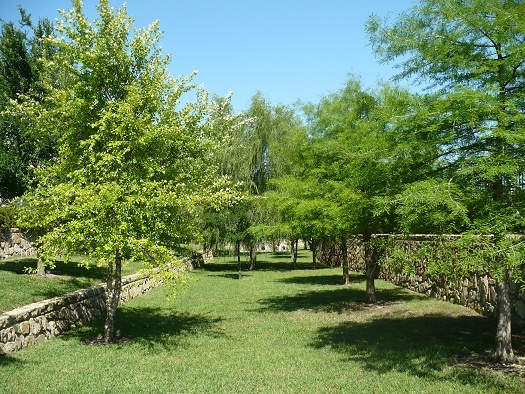 Spicewood Crossing Image 7