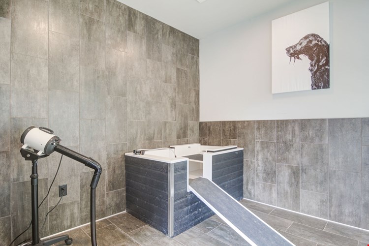 The Edison Sugarloaf Apartments Image 26