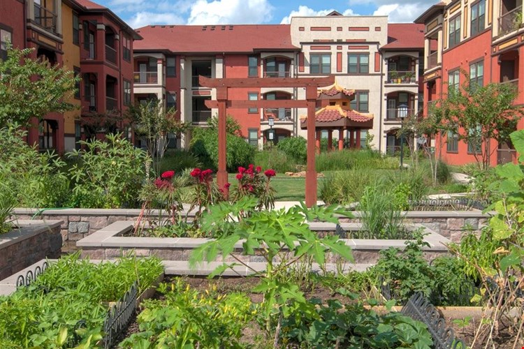 Golden Bamboo Village III Image 4