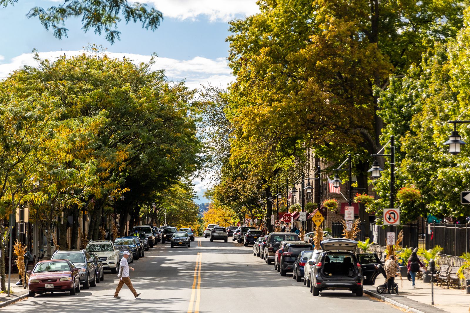 NorthLight Image 114