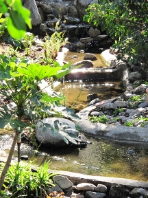 The Continental Arcadia Image 3