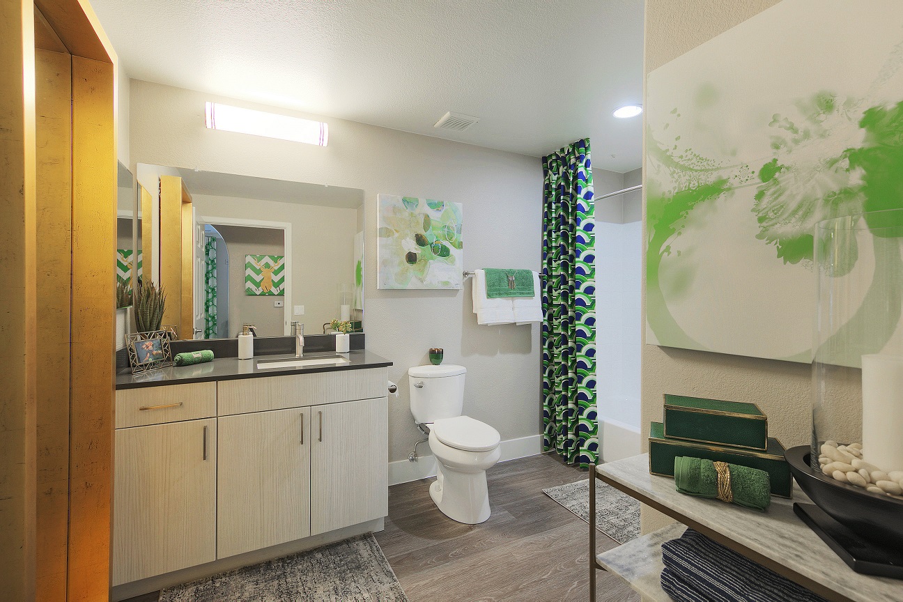 Peoria, AZ Enclave at Arrowhead lake bathroom