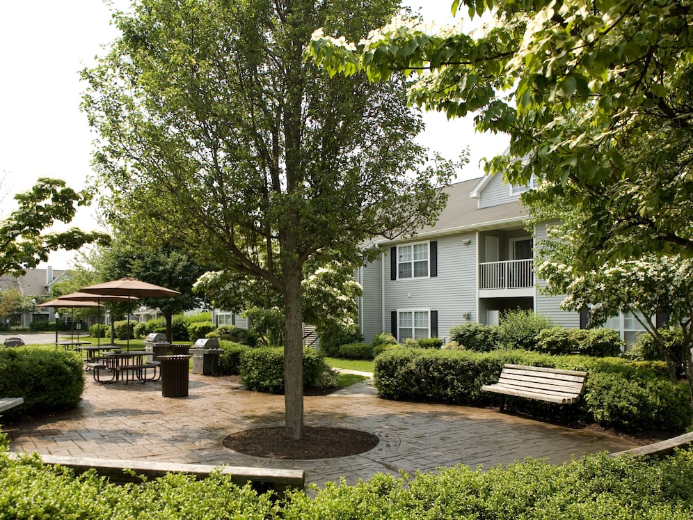 BBQ grill and picnic area