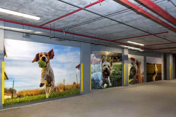 Camden Las Olas Image 41