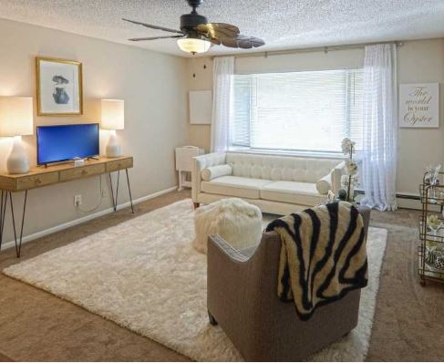 Wayzata Lake Image 8