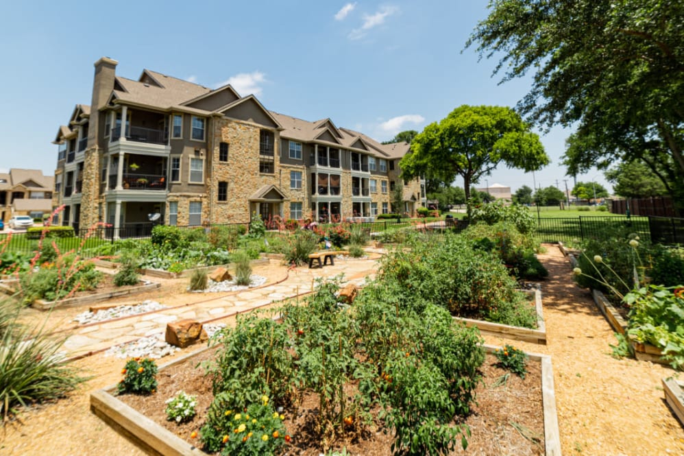 Marquis at Bellaire Ranch Image 5