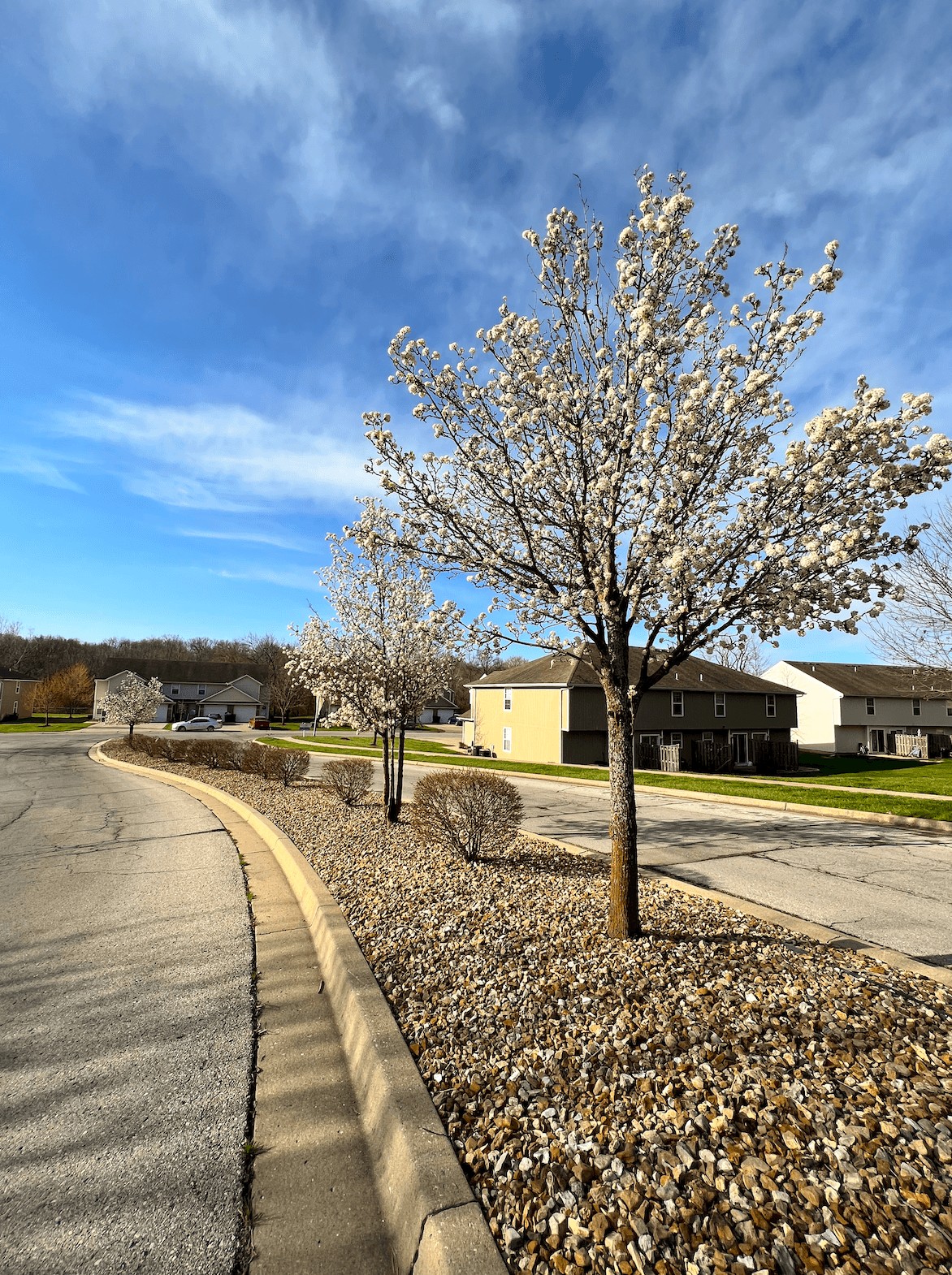 Timbercreek East Townhomes Image 28