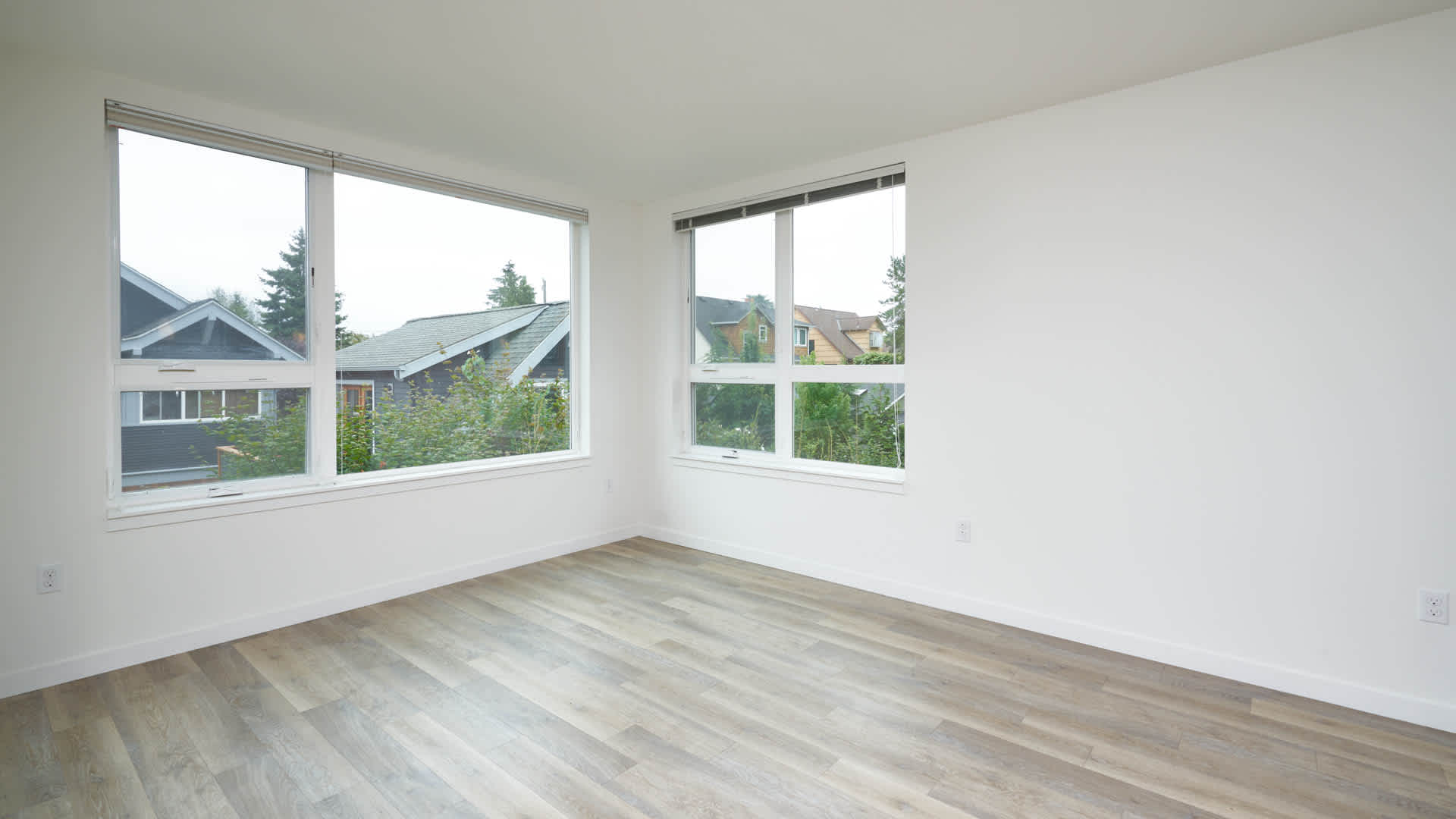 Springline  Image 14