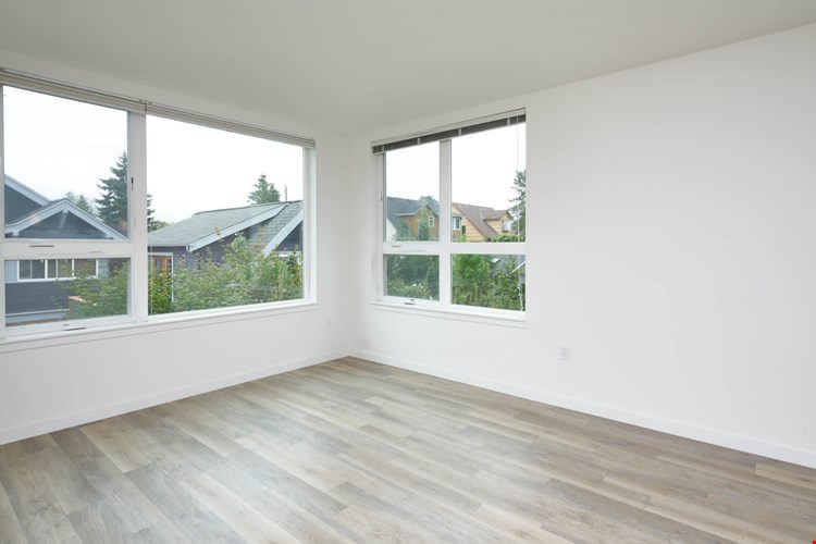 Springline  Image 14