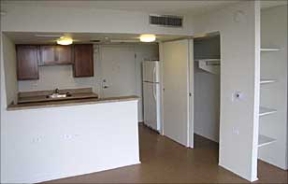 Viridian Image 11