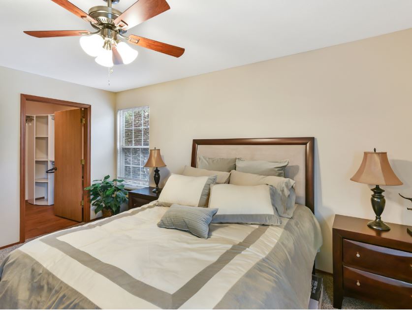 Forest Meadows Image 14