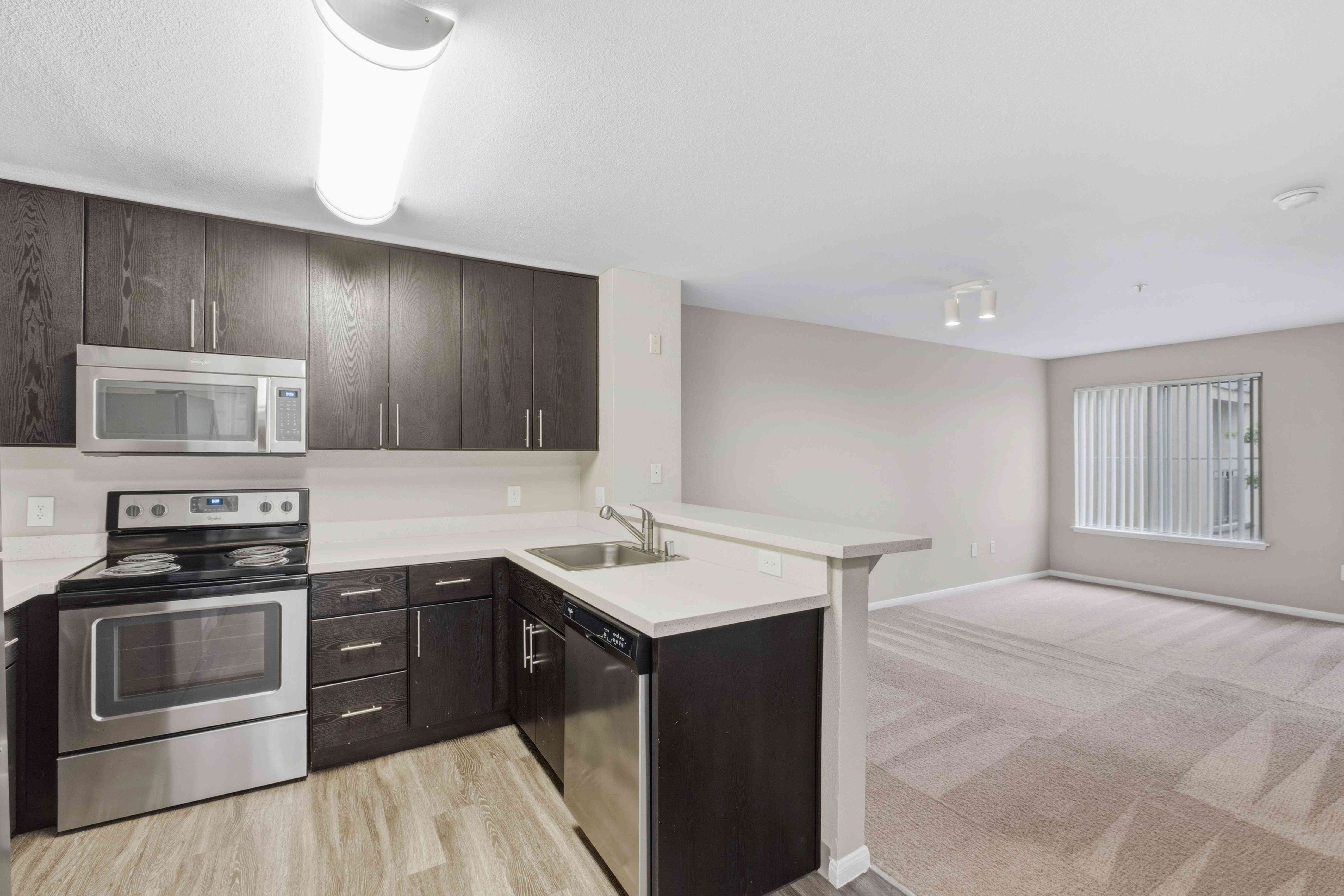 Enclave Image 30