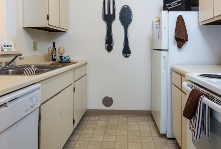 Spring Brook Image 11