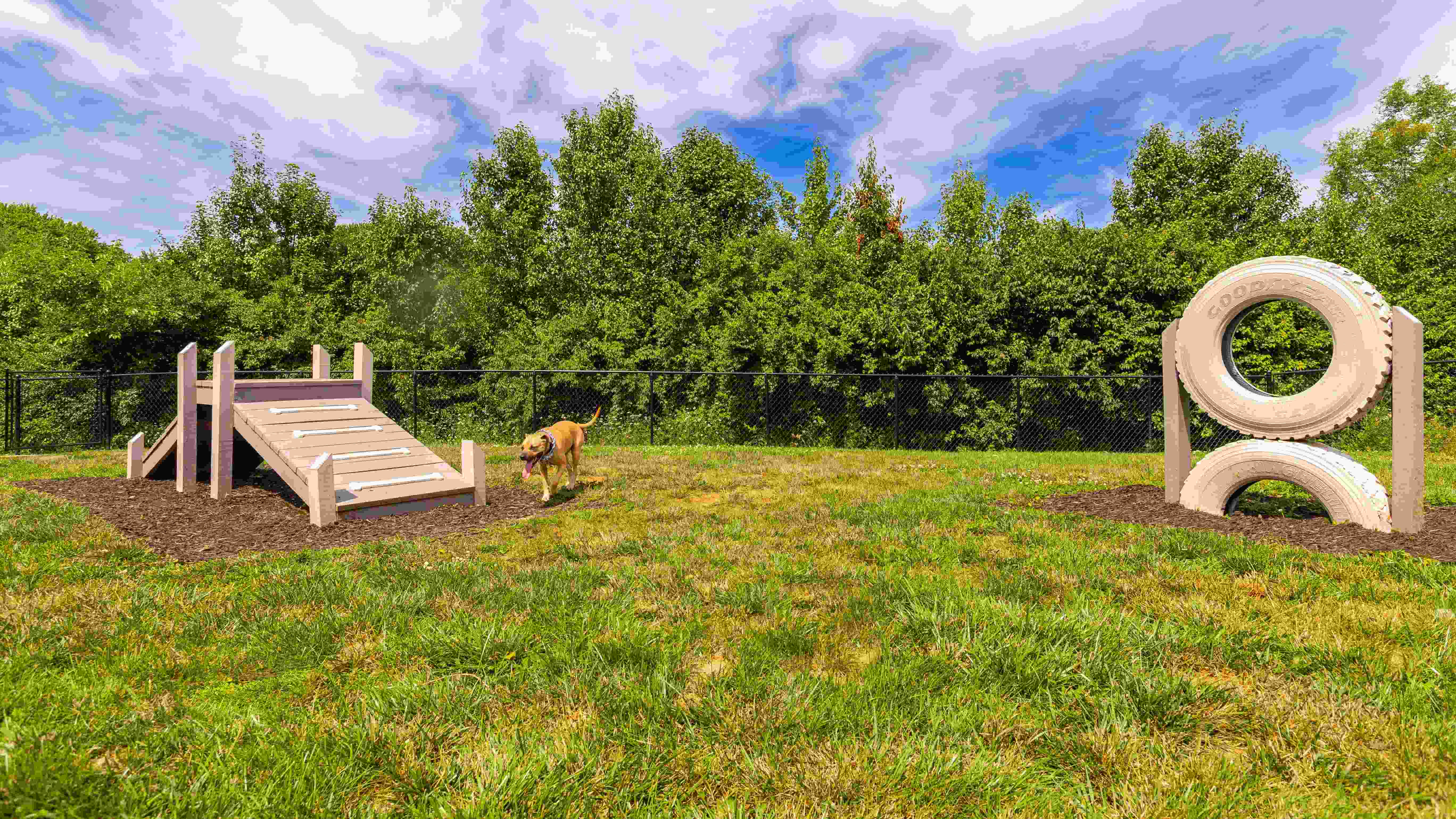 Our dog park is the perfect place for your furry friends to play and socialize. Featuring agility equipment and plenty of space to run, it's a haven for dogs of all sizes.