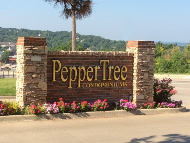 Pepper Tree Image 1