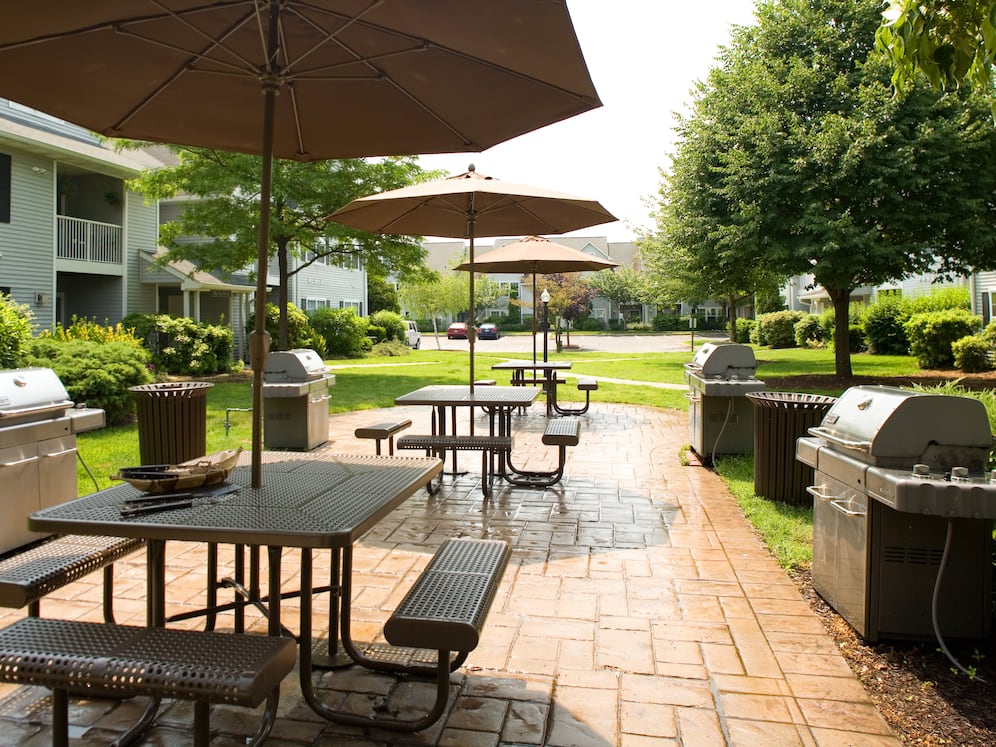 BBQ grill and picnic area