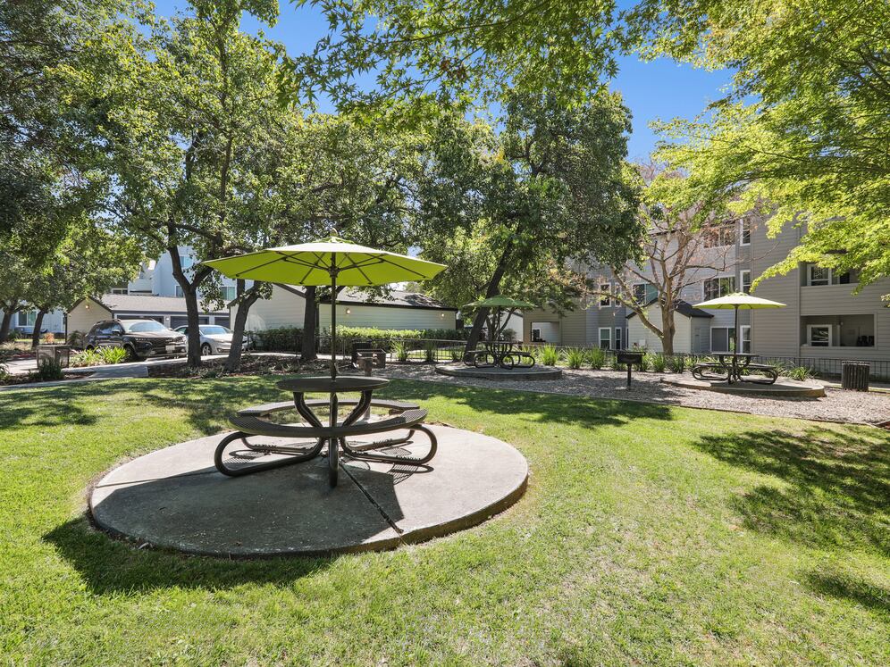 Barbecue grills and picnic area