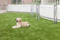 Camden NoMa Image 45