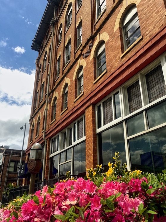 Goodall-Brown Lofts Image 3