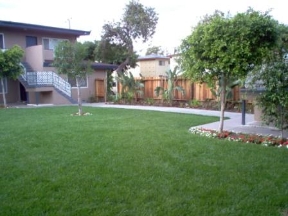 Sallie Lane Courtyard Image 3