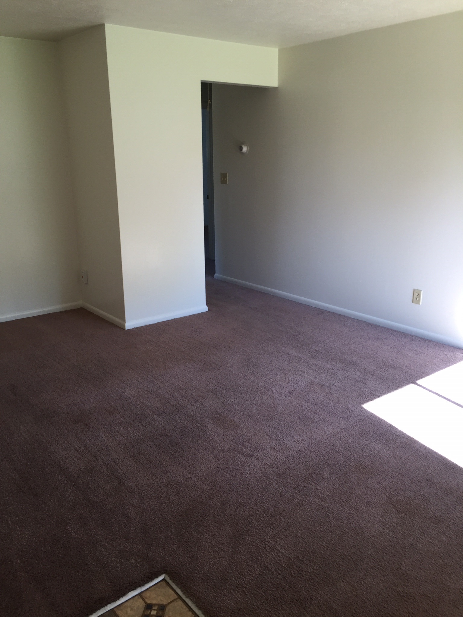 Courtyard Village Apartments Image 8