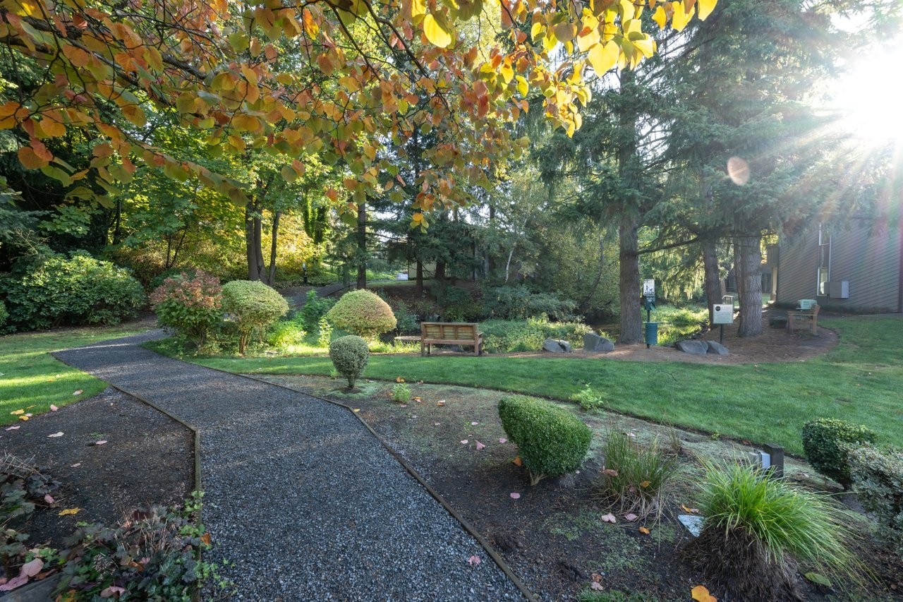 Vue Kirkland Image 18
