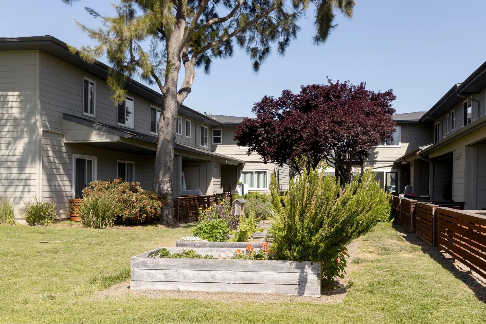 Chesapeake Point Image 7